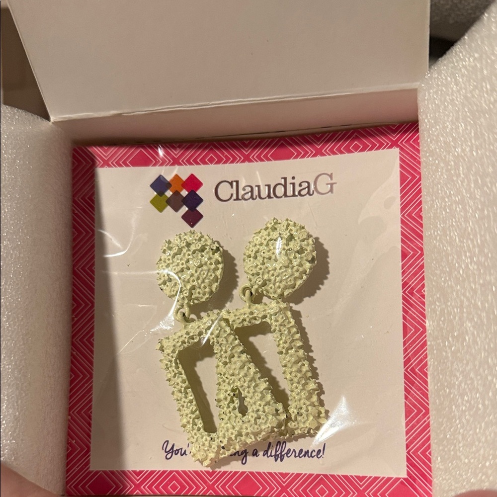 ClaudiaG Textured Misty Earrings NEW